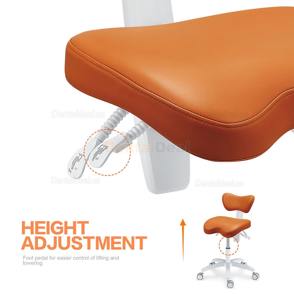 TYTC PLST-060 Ergonomic Dental Operator Assistant Chair Dentist Stool with Backrest Adjustable